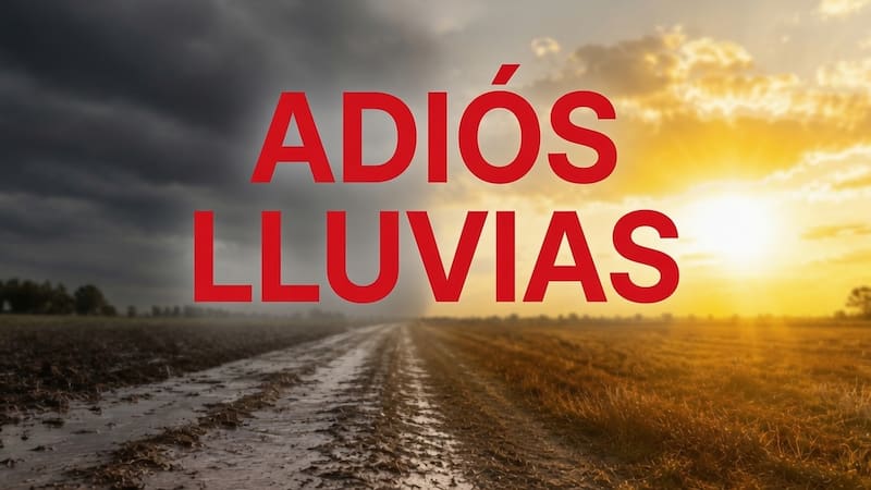 Imagen representativa