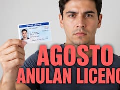 Confirmado | En agosto retirarán licencias de conducir y pueden suspender a los conductores que acumulen estas faltas