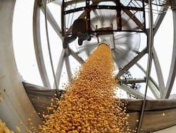Los Perez Companc acuerdan con empresa “plant based” en un plan de u$s 100 millones