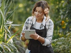 De la ciencia a la factura: el programa que enseña a las startups del campo a venderle a los gigantes del agro