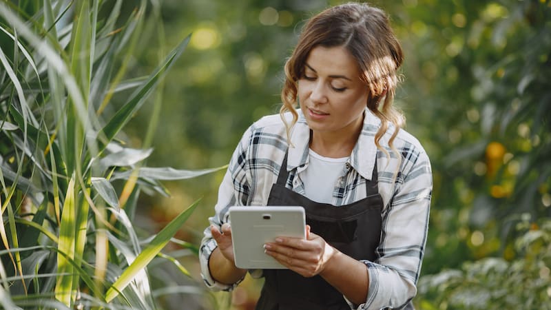 Agtech, tecnología en el campo | Foto: Gustavo Fring en Pexels