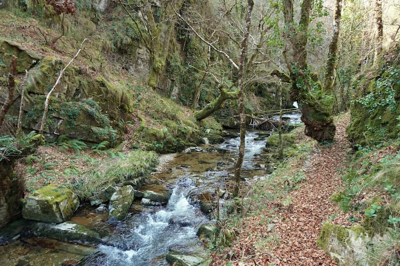 La Corte falló sobre el uso y consumo del agua residual