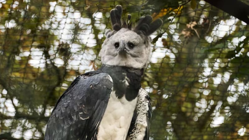 <div class="migrated-promo-image__description"><div class="migrated-promo-image__source">Fuente: Adobe Stock</div></div>