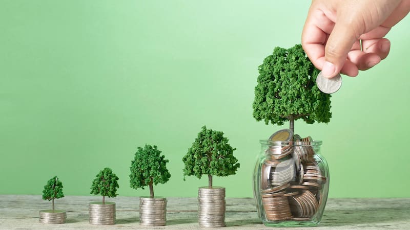 Una mano coloca una moneda sobre una planta que crece junto a pilas de monedas, en una imagen que representa el ahorro.