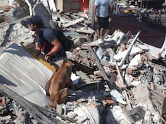 Sismo en Colombia: confirman al menos 52 muertos, edificios derrumbados “con personas atrapadas” y vuelos suspendidos en 7 aeropuertos