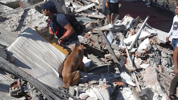 Sismo en Colombia: confirman al menos 70 muertos, edificios derrumbados “con personas atrapadas” y vuelos suspendidos en 7 aeropuertos