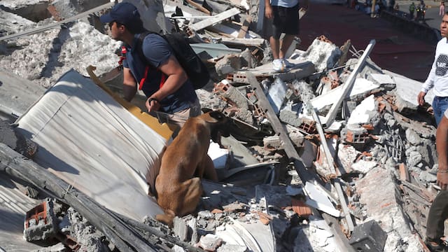 Sismo en Colombia: confirman al menos 22 muertos, edificios derrumbados “con personas atrapadas” y vuelos suspendidos en 6 aeropuertos