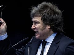 Estabilidad de la insatisfacción: qué significa y qué dice sobre Javier Milei