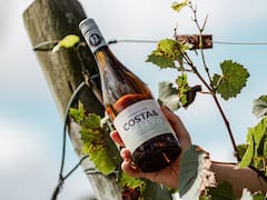 El Albariño de Trapiche Costa & Pampa: el pulso oceánico que consagró a Chapadmalal en la cima de la viticultura extrema