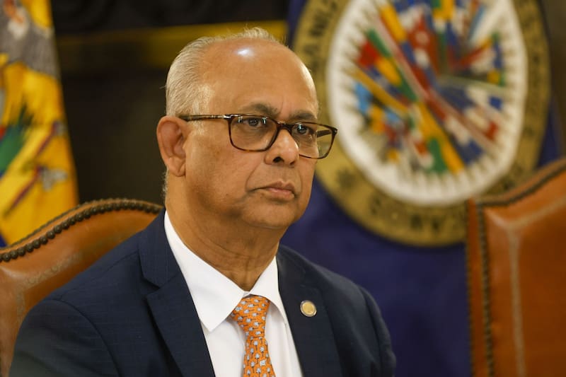La designación fue comunicada por el secretario general de la OEA, Albert Ramdin.