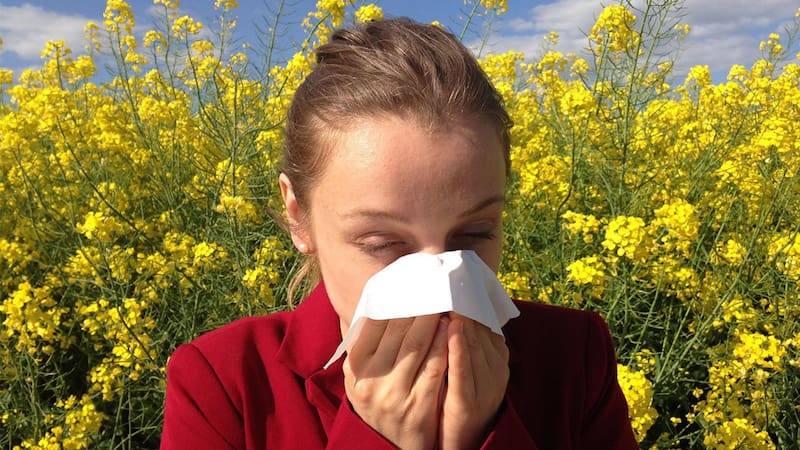 Las alergias demuestran síntomas, principalmente, en primavera.