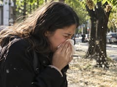 Llega la primavera: crean el “mapa de plátanos de CABA” para evitar alergias