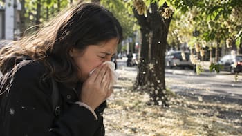 Llega la primavera: crean el “mapa de plátanos de CABA” para evitar alergias