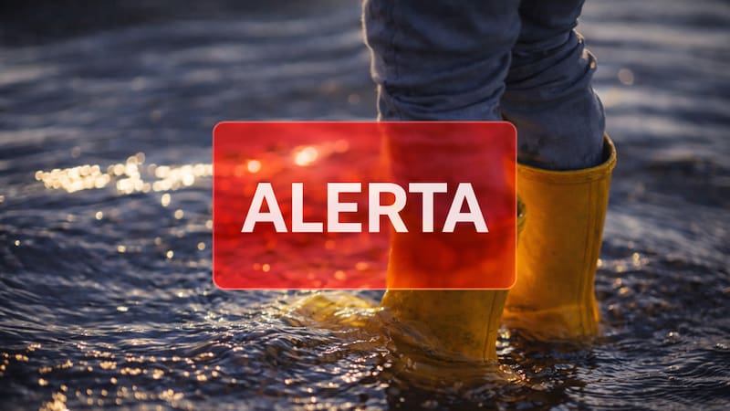 Se advierte sobre el peligro en ciudades como Miami, New Orleans y Keywest, entre otras. (fuente: freepik editada con IA)