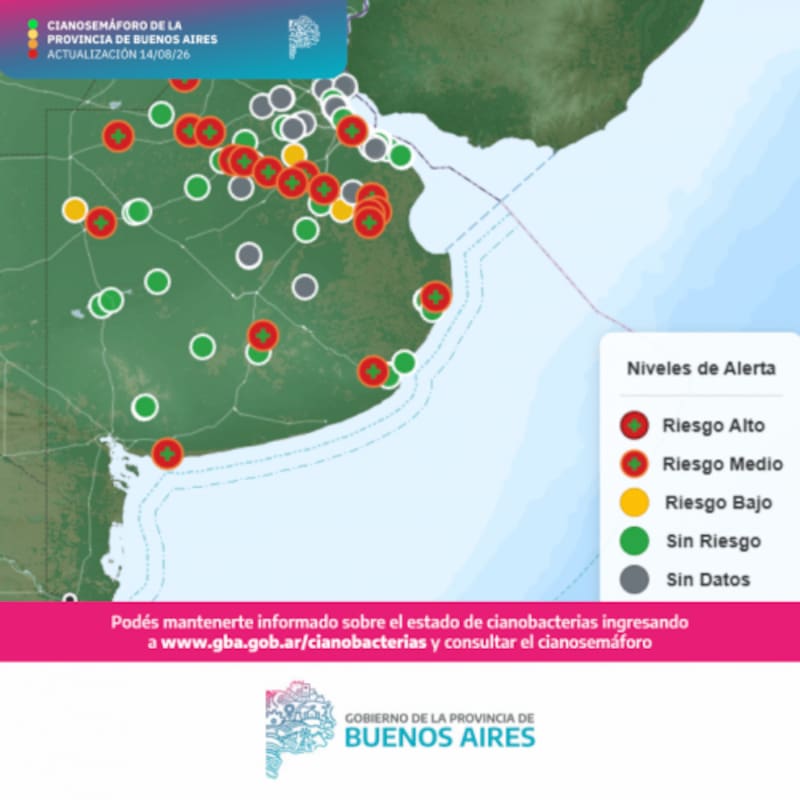 Alerta por cianobacterias en Buenos Aires.