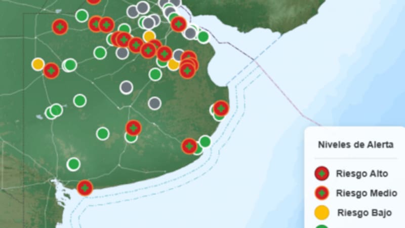 Alerta por cianobacterias en Buenos Aires.