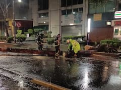 Lluvias eléctricas en CDMX | Alertan por inundaciones y hundimientos: estas son las zonas con mayor riesgo