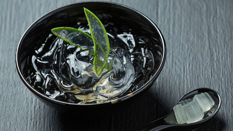 El aloe vera se caracteriza por sus propiedades medicinales.