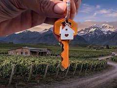 Cuánto rinde una inversión inmobiliaria en Mendoza y qué zonas son las más top
