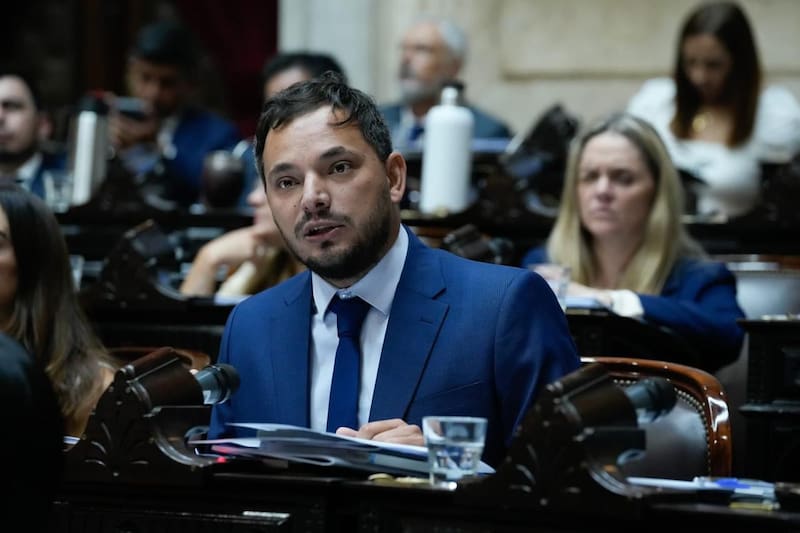 Alvaro Martínez, diputado libertario