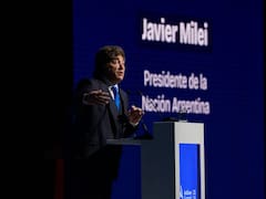 Milei va por las PASO y el peronismo resiste: la guerra que se define en los gobernadores
