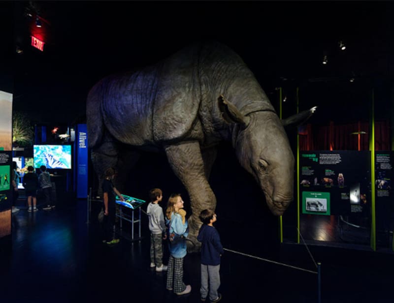 Un plan imperdible para los más chicos: la muestra Impact: The End of the Age of Dinosaurs será la gran atracción del American Museum of Natural History en 2026.