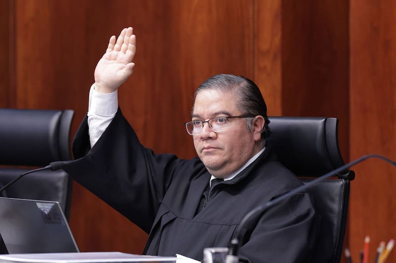 Fallo histórico la Suprema Corte: la justicia puso límites a tierras ejidales para proteger Yum Balamb (foto: archivo).