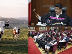 Adiós a las apropiaciones ilegales | Falló histórico de la Suprema Corte cambia para siempre la propiedad de tierras ejidales