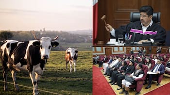 Adiós a las apropiaciones ilegales | Falló histórico de la Suprema Corte cambia para siempre la propiedad de tierras ejidales