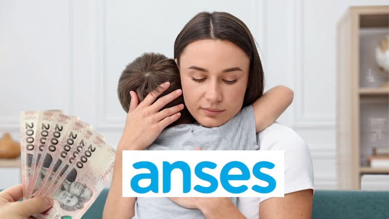 Por qué podrías dejar de cobrar en mayo y cómo evitar la suspensión. Foto (ANSES)