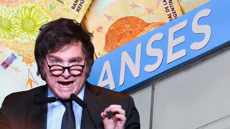 Bono único de ANSES
