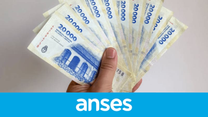 ANSES otorga el bono de fin de año más esperado por todos: quiénes pueden acceder al plus de $ 106.000
Fuente: Archivo