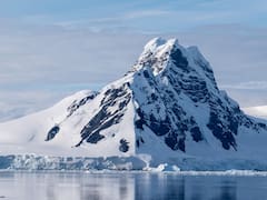 Hallazgo en la Antártida: descubren un "mundo perdido" congelado bajo el hielo desde hace 30 millones de años