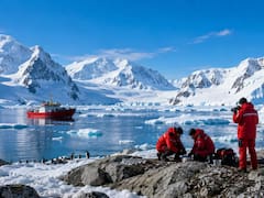 Descubrimiento trascendental | Hallan en la Antártida animales marinos jamás antes vistos que podrían redefinir la historia de la biología