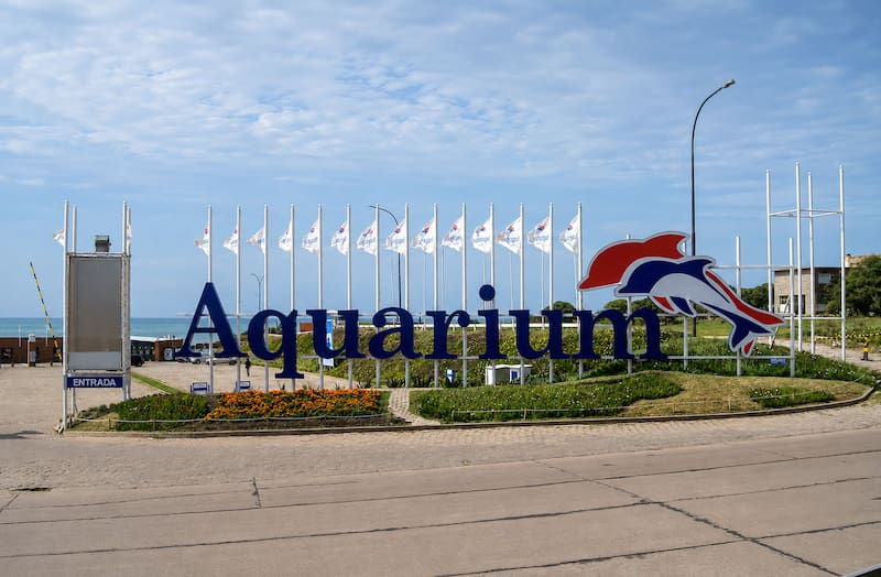 Pingüinos del Aquarium de Mar del Plata: cuatro ejemplares fueron valuados en US$40.000 dentro del proceso de quiebra de la empresa que administraba el complejo.