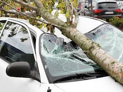 La Intendencia de Montevideo tuvo que responder a más de 350 eventos tras ciclón extratropical