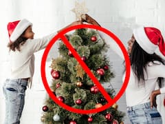 Adiós al arbolito de Navidad de toda la vida: las nuevas alternativas para la Navidad 2025 que ya son tendencia en todo el mundo