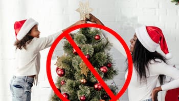 Adiós al árbol de Navidad: la tendencia que deja atrás las bolas tradicionales y promete decorar mejor gastando menos