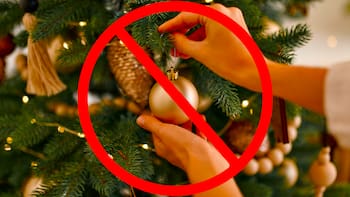 Cambia la Navidad para siempre: cinco modas que reemplazan al clásico árbol por una opción minimalista