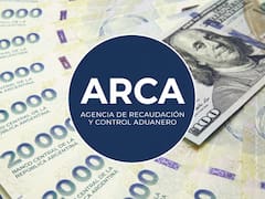 Superé el tope en Ganancias: qué me conviene hacer ahora con Inocencia Fiscal II en el Congreso