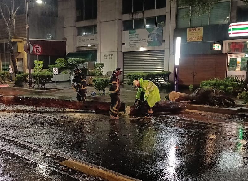 En Av. Insurgentes Centro, Guadalupe Inn, Álvaro Obregón, se registró la caída de un árbol sobre la vialidad; no se reportan personas afectadas.