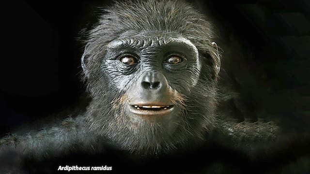 ¿Llegó el fin de la revolución tecnológica? Reciente hallazgo desafía la hipótesis de la evolución humana