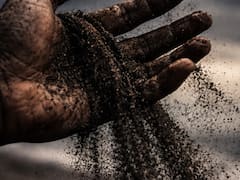 No es el agua: se está terminando el recurso natural más codiciado del planeta y existen mafias dispuestas a matar por él