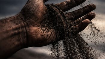 No es el agua: se está terminando el recurso natural más codiciado del planeta y existen mafias dispuestas a matar por él