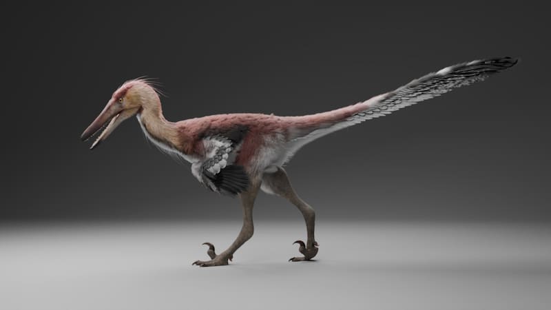 Esta especie no había sido descubierta.