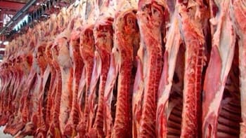 Buena noticia para Caputo: Japón volverá a comprar carne argentina después de 20 años