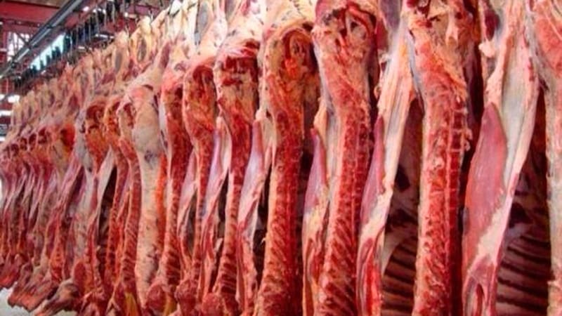 Argentina registró un récord de exportación de carne bovina en 2022