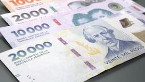 Volatilidad de tasas: qué bonos y letras en pesos recomiendan en el mercado