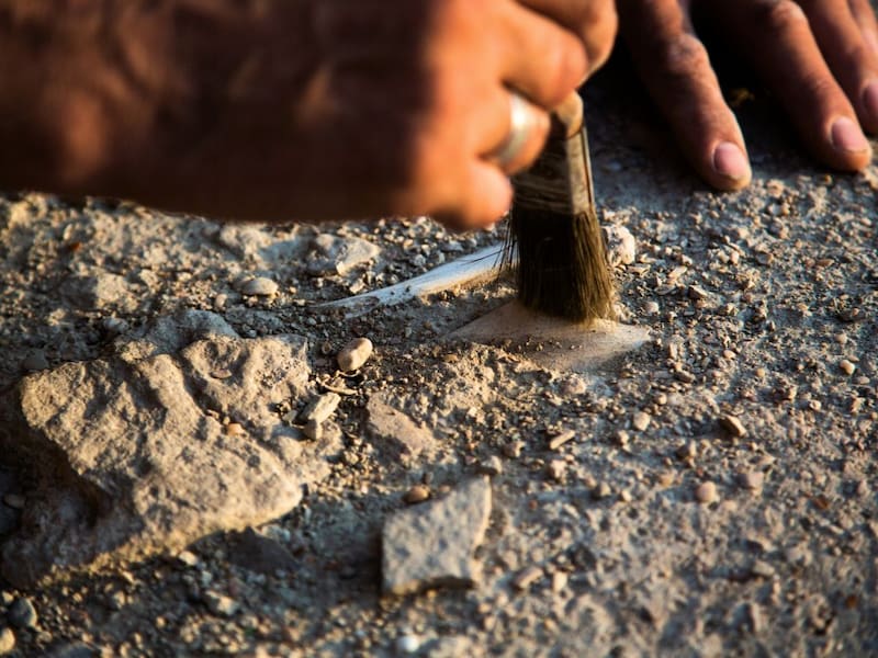 Arqueólogos chinos hallan una colección de tesoros enterrados que cambiará la historia. (Fuente: Shutterstock).