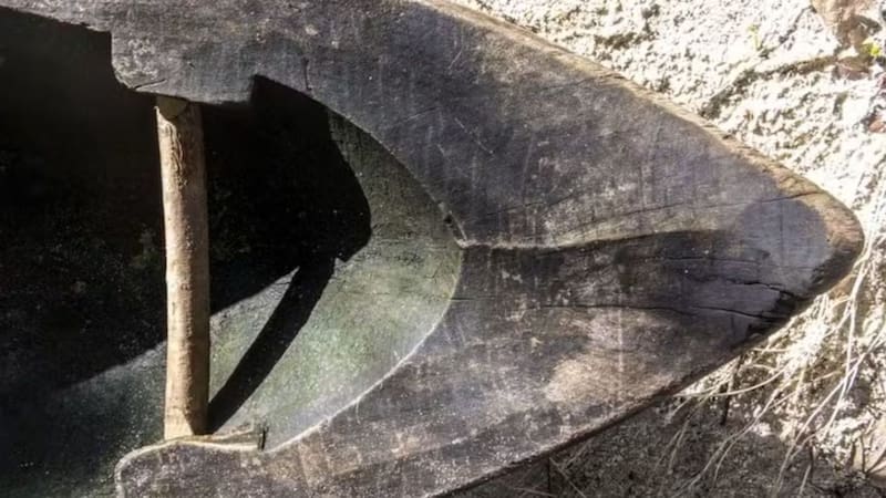 Estas fibras se usaban para fabricar cuerdas, redes y amarras, elementos esenciales para construir embarcaciones y realizar pesca en alta mar.